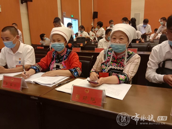 亮丽风景线：龙里布依族代表委员盛装出席“两会” (6).jpg