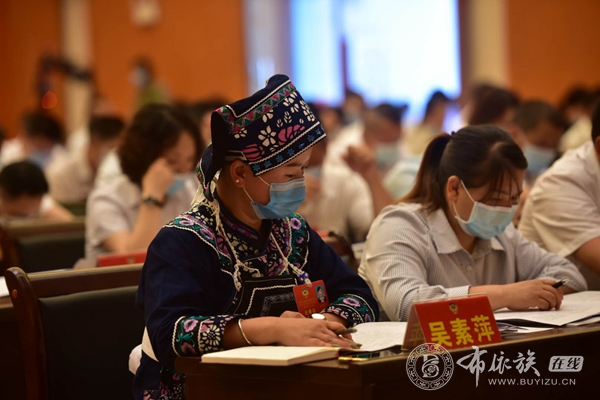 亮丽风景线：龙里布依族代表委员盛装出席“两会” (5).jpg