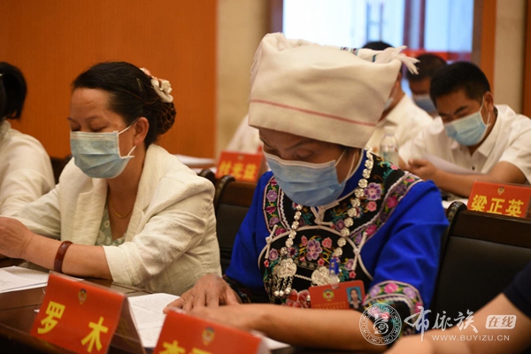 亮丽风景线：龙里布依族代表委员盛装出席“两会” (11).jpg