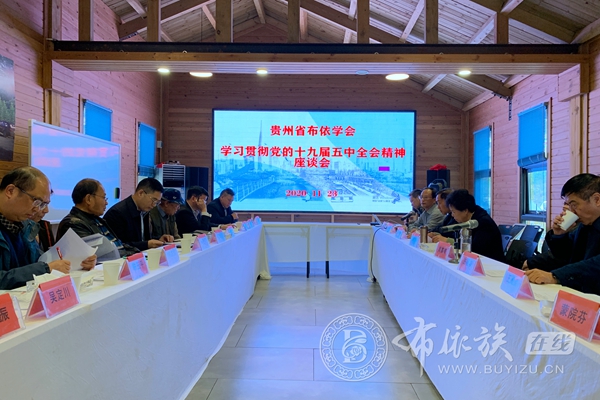 贵州省布依学会学习贯彻党的十九届五中全会精神座谈会在贵阳召开 (4).JPG