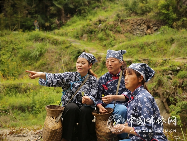 金玉琴 (3).jpg