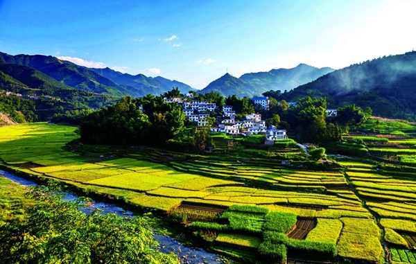 锦锈田园.jpg