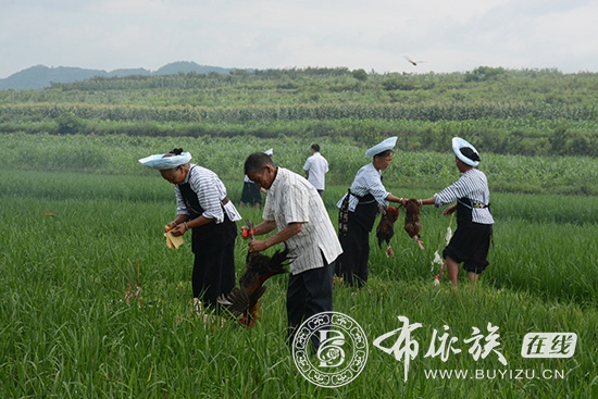 贞丰县举办2019年“六月六”布依族风情节3.jpg