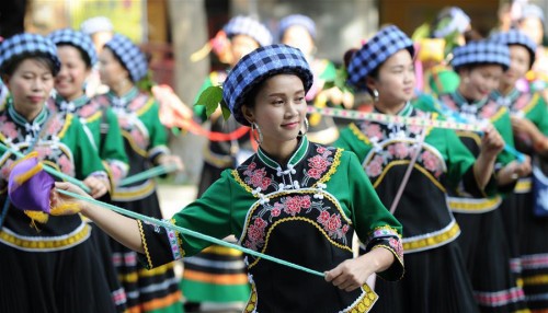 贵州望谟:第十二届布依族文化节盛大开幕